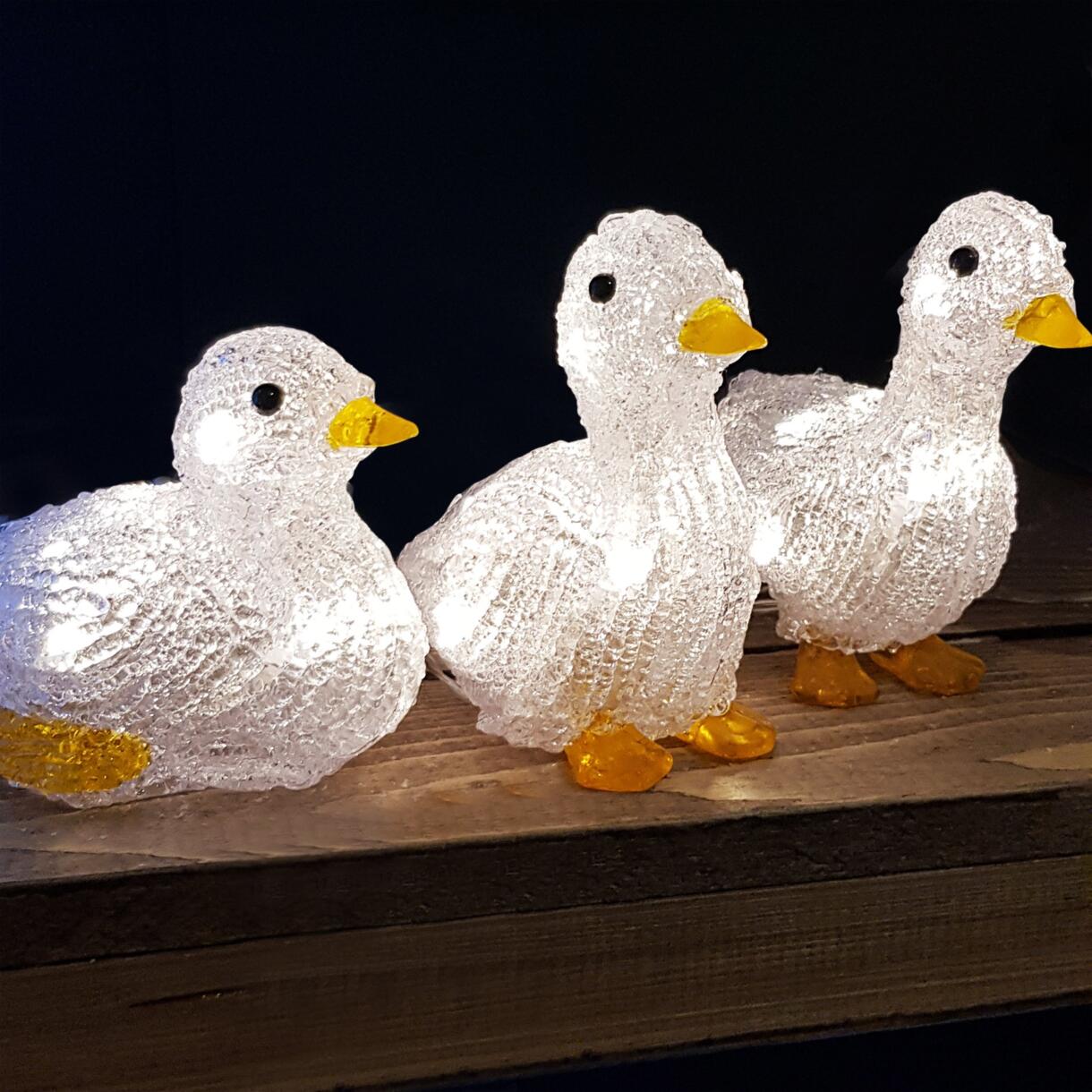 Familia Patos a pilas luminoso blanco cálido 10 LED 1