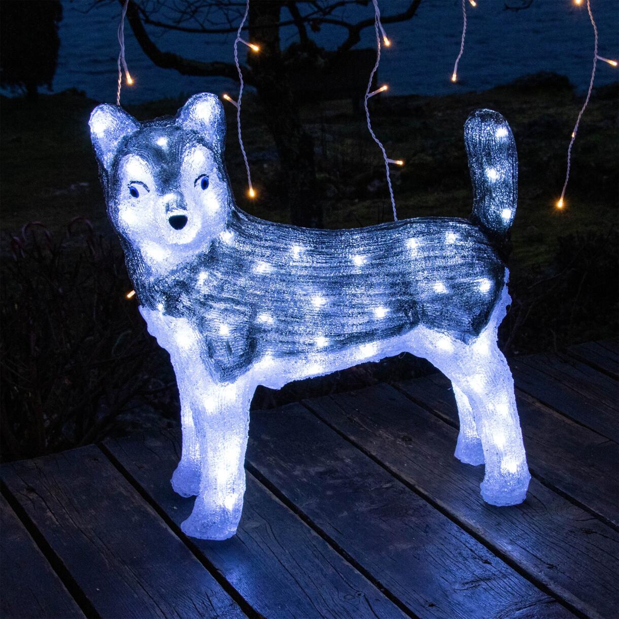 Chien lumineux Snowy Blanc froid 80 LED 1
