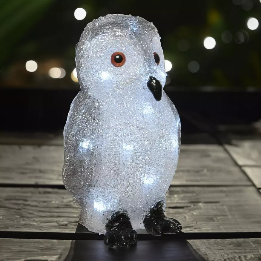 Chouette Luciana à piles luminoso 20 LED 1