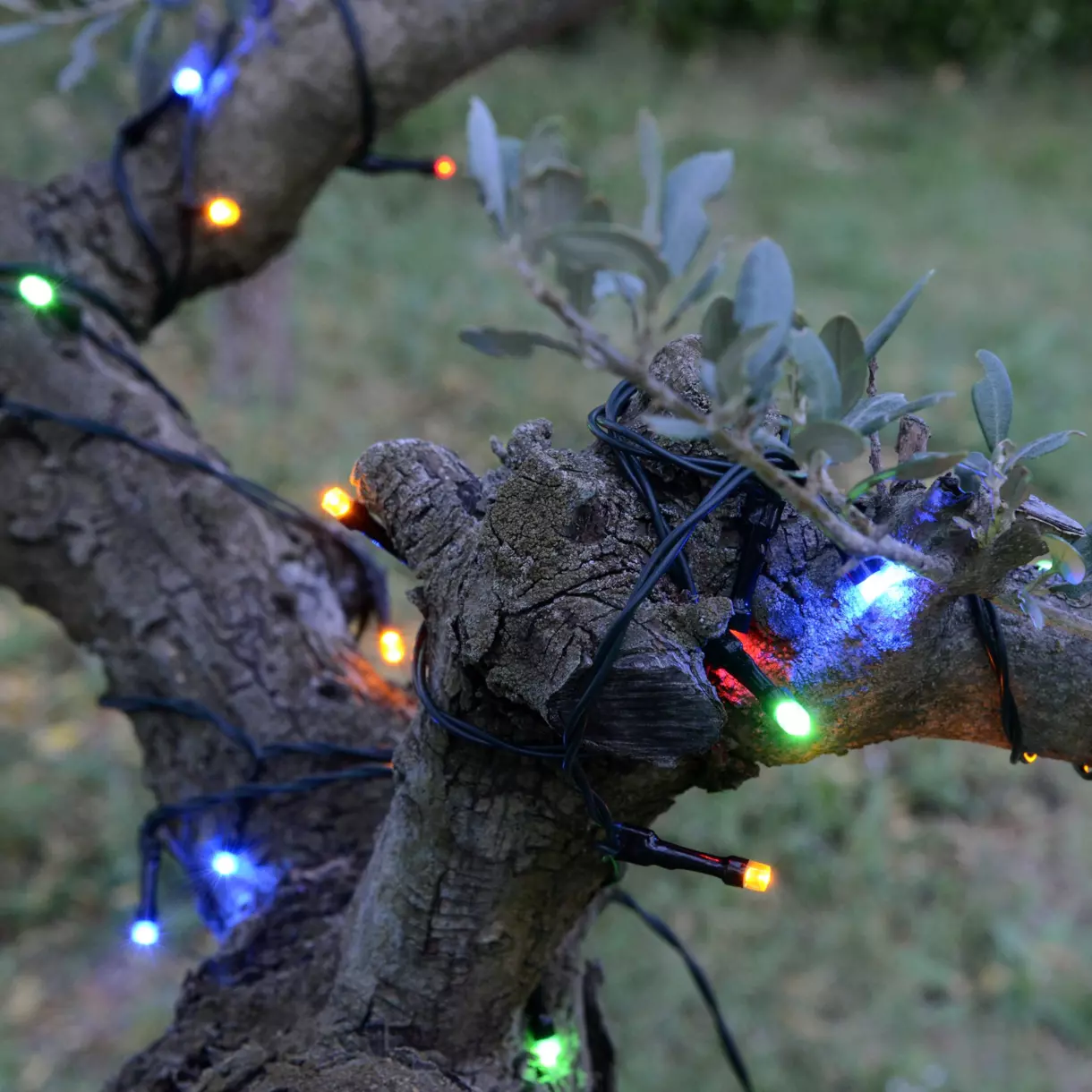 Luces de Navidad Solar  40 m Multicolor 400 LED 1