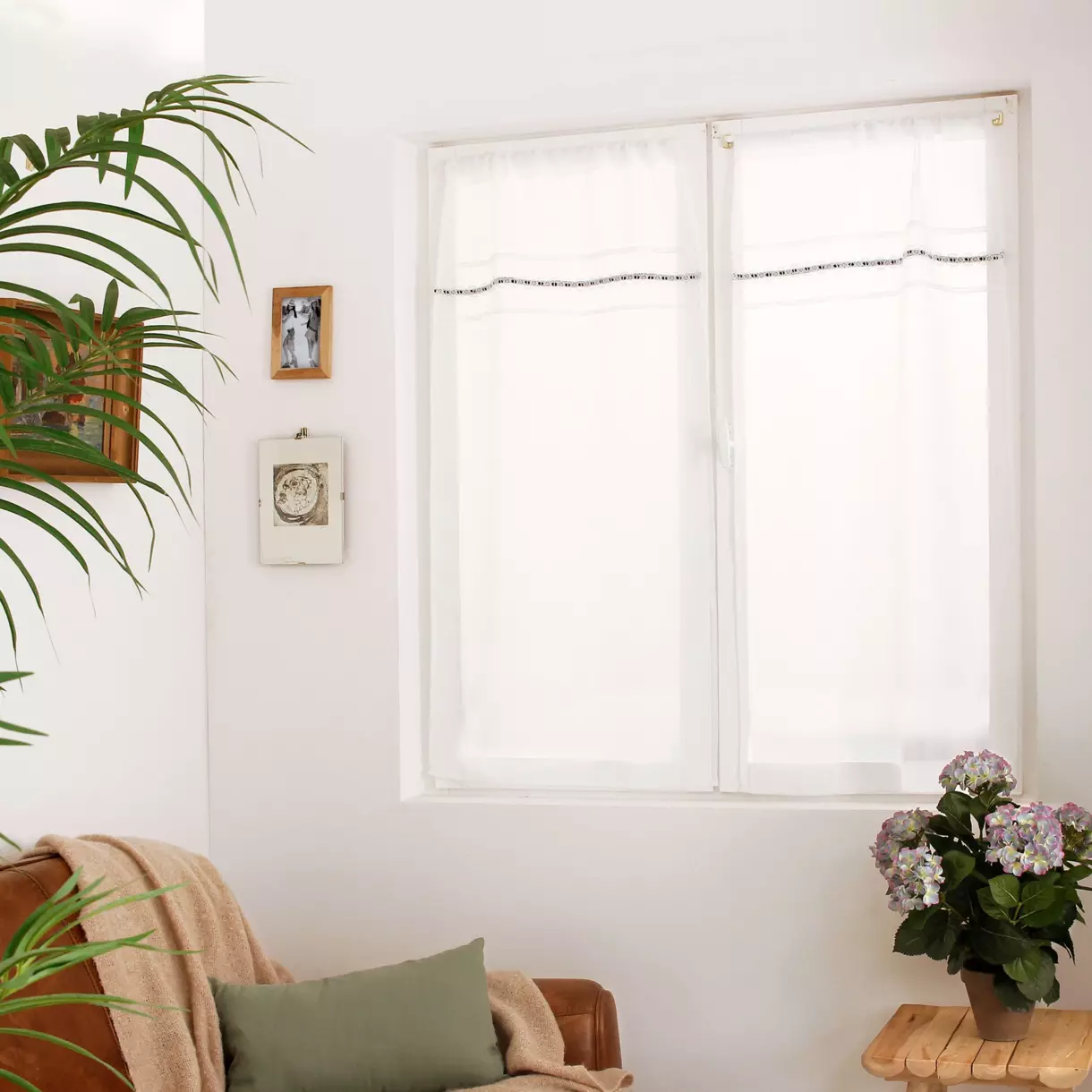 Set van 2 vitrages (60 x 120 cm) Alicia Donkergroen 1