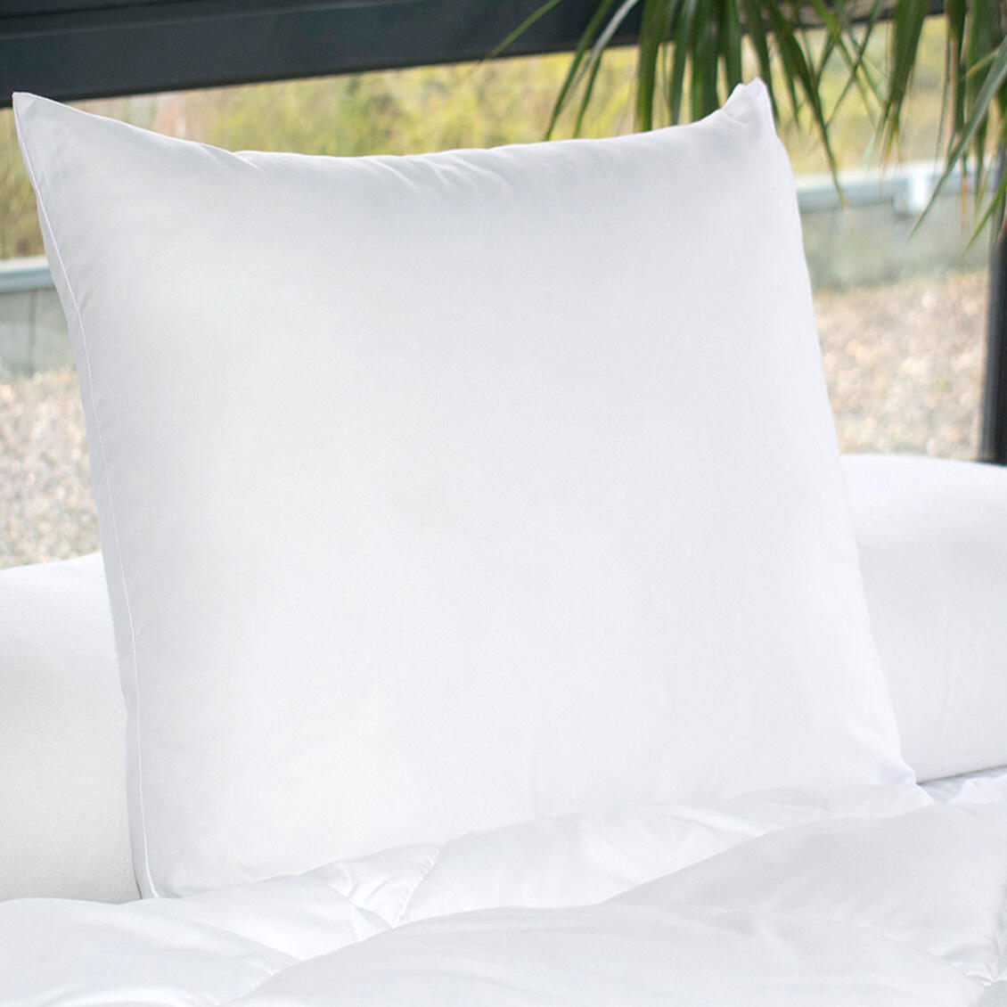 Set di 2 cuscini letto quadrati (60 cm) Moelleux Antiacaro Bianco 1
