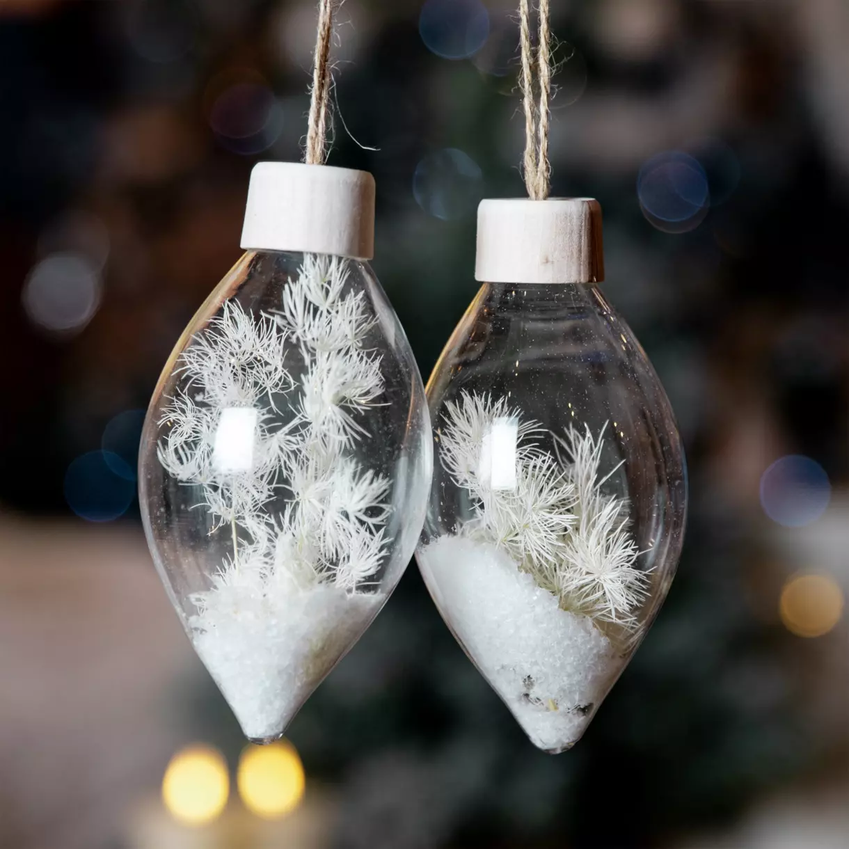 Lot de 2 suspensions en verre Roseaux Transparent 1