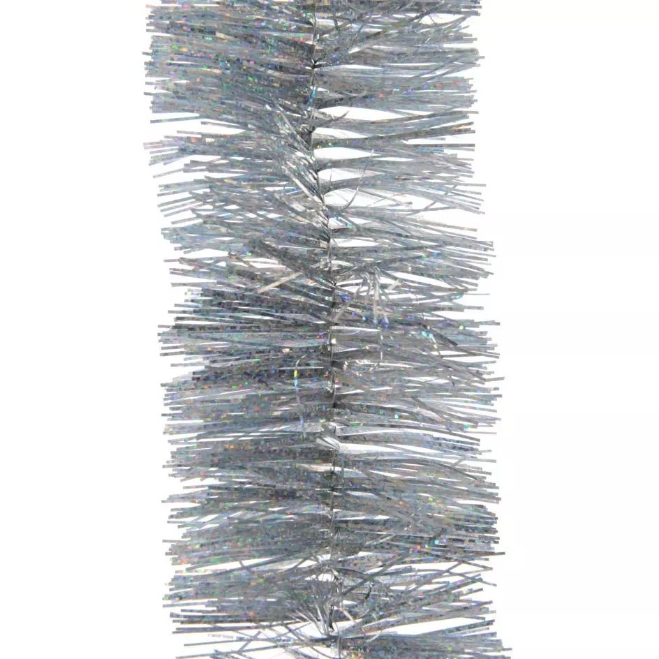 Guirlande de Noël (D7,50 cm) Alpine Argent Multicolore 1