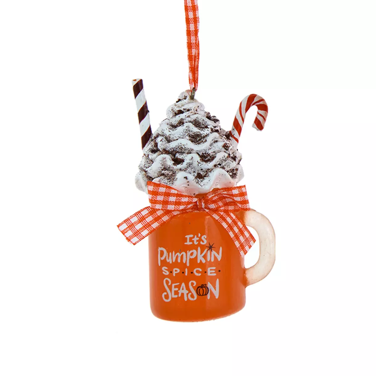 Taza Calabaza Naranja 1