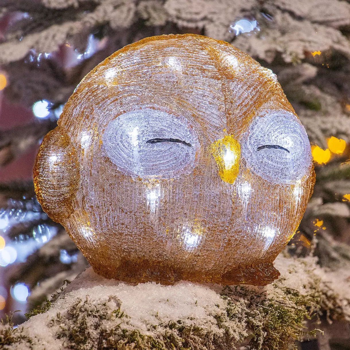 Búho luminoso a pilas Léon Blanco frío 30 LED 1