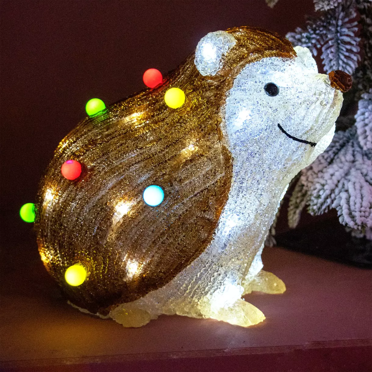Verlichte egel Jeno (batterijen) Koud wit 40 LED 1