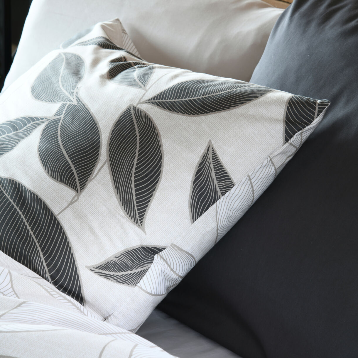 Federa cuscino letto quadrata percalle di cotone (63 x 63 cm) Matisse Grigio