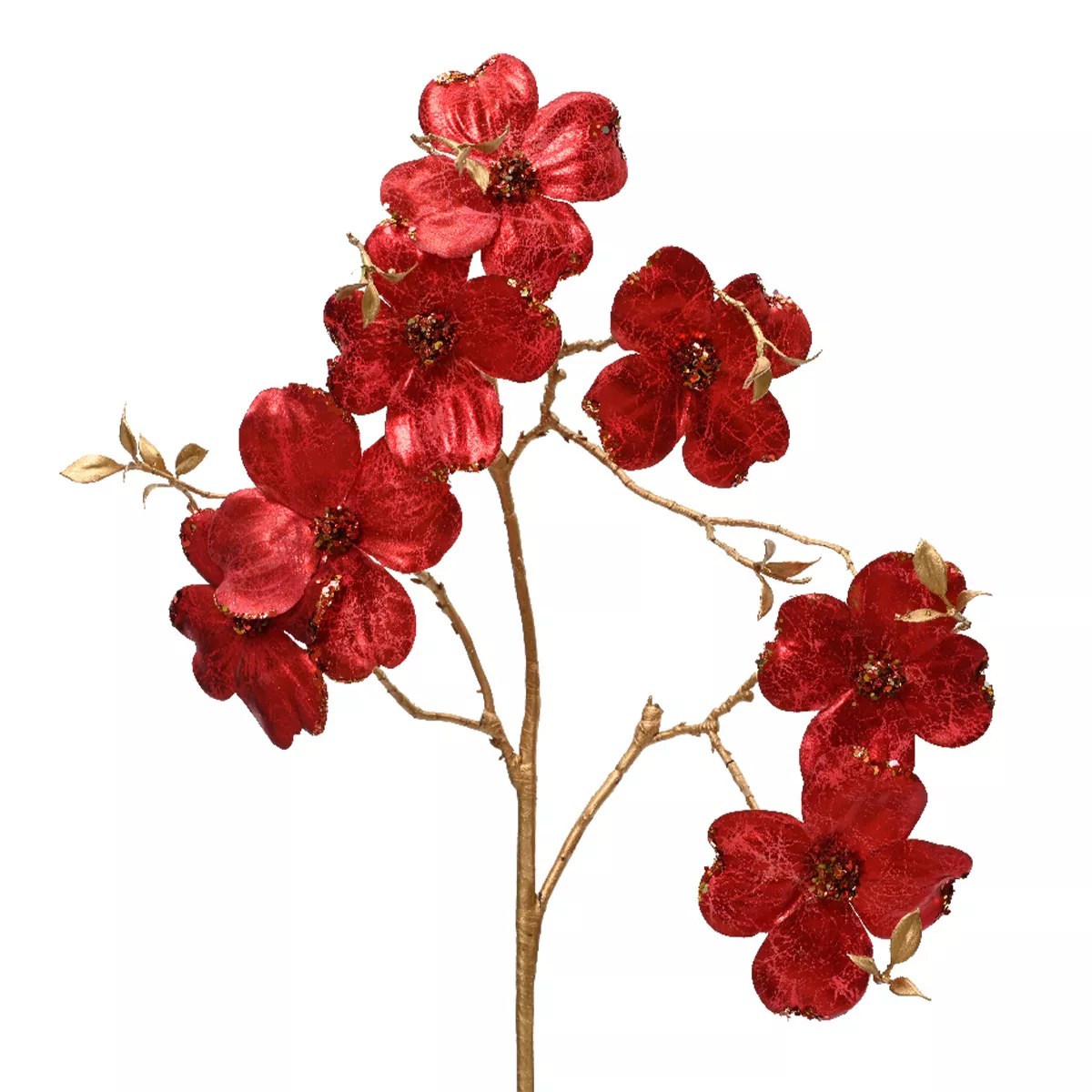 Gespleten Bloemen (H90 cm) Gebarsten Rode Kornoelje