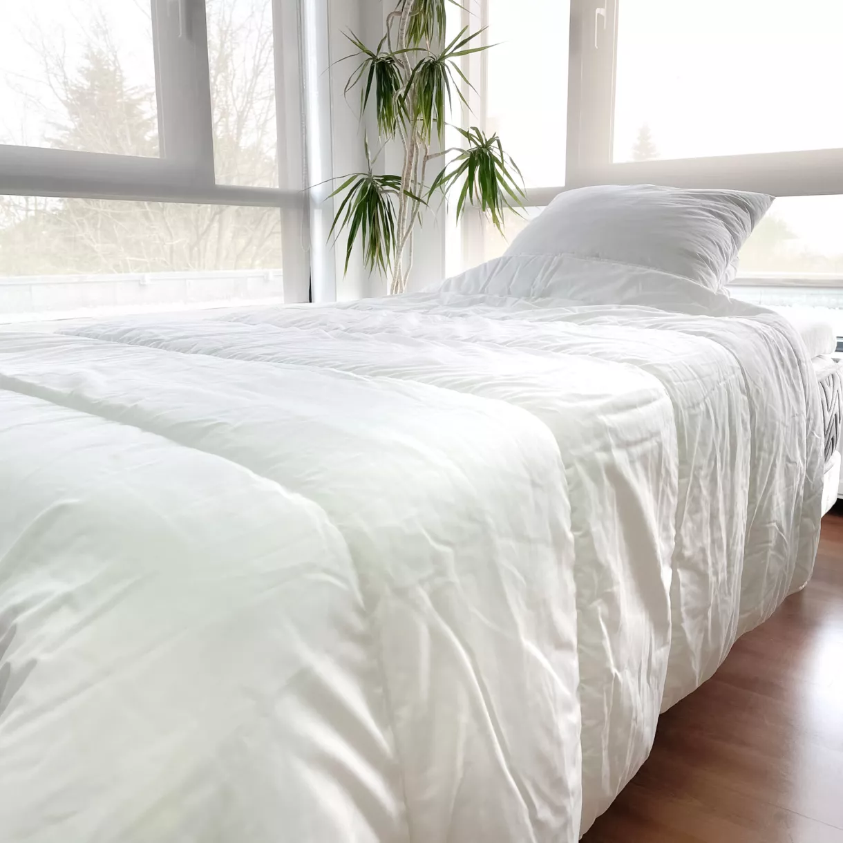 Juego de nórdico antiácaros (140 x 200 cm) + 1 almohada (60 x 60 cm) Comète Blanco