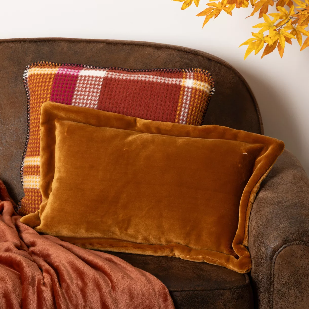 COUSS FLAN 550 CUDDLY CMN38X58