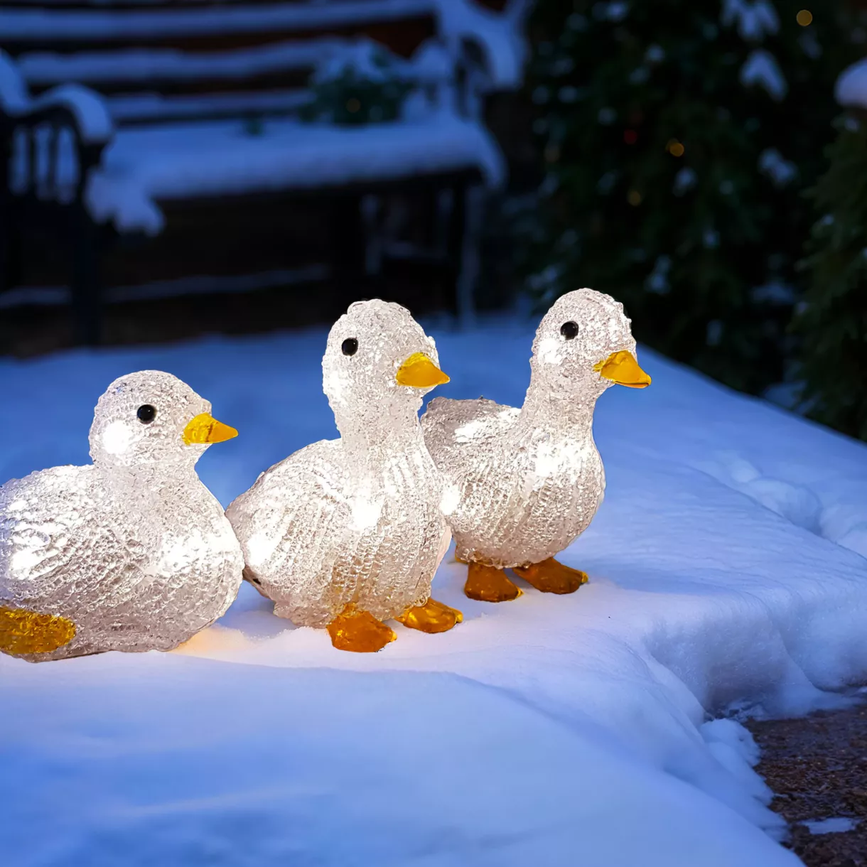 Famille Canard à piles lumineux blanc chaud 10 LED 1