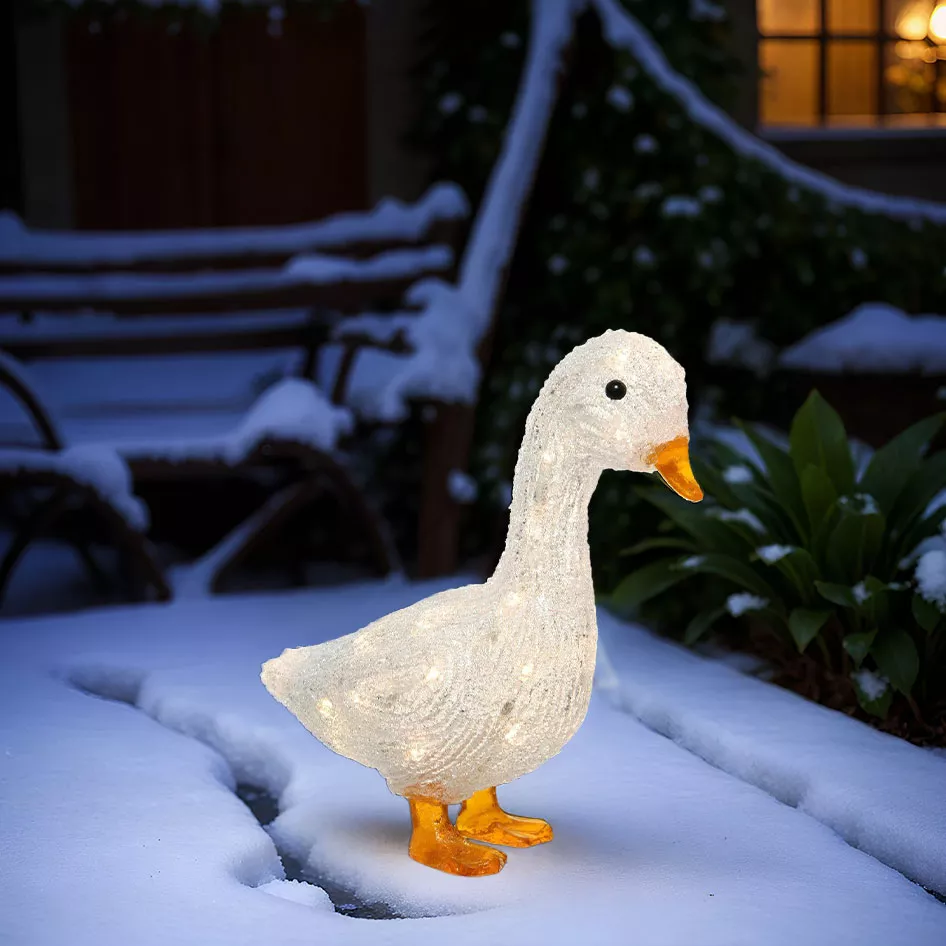 Canard à piles lumineux blanc chaud 30 LED 1
