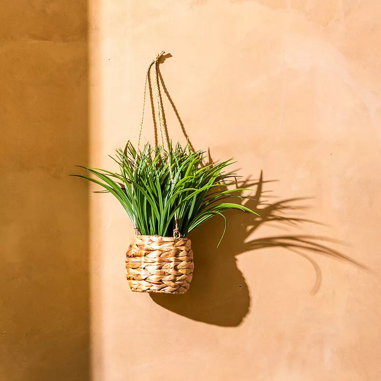 Kunstplant hangend in gevlochten pot (H27 cm) Moda Costa