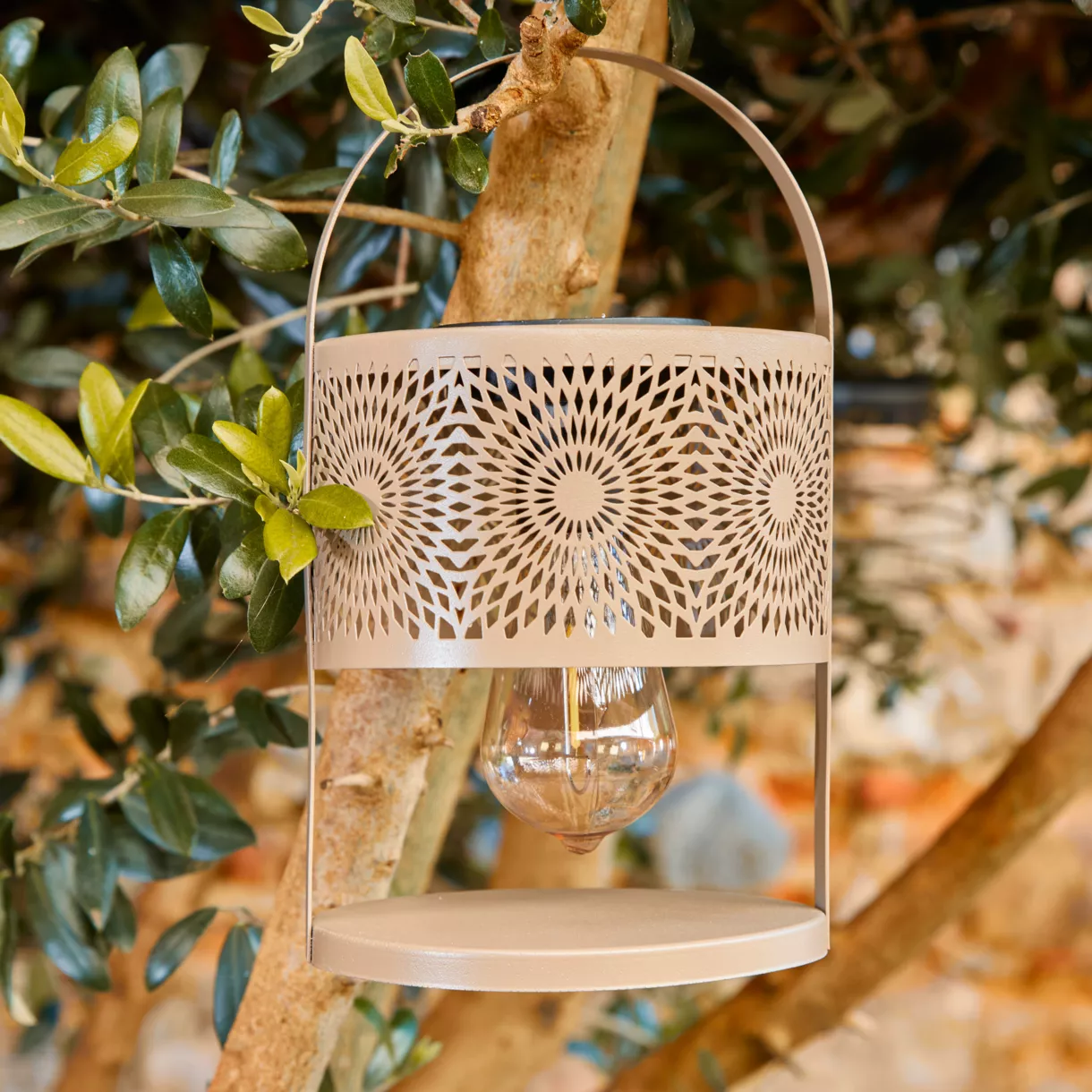 Linterna de mesa solar LED - Topo