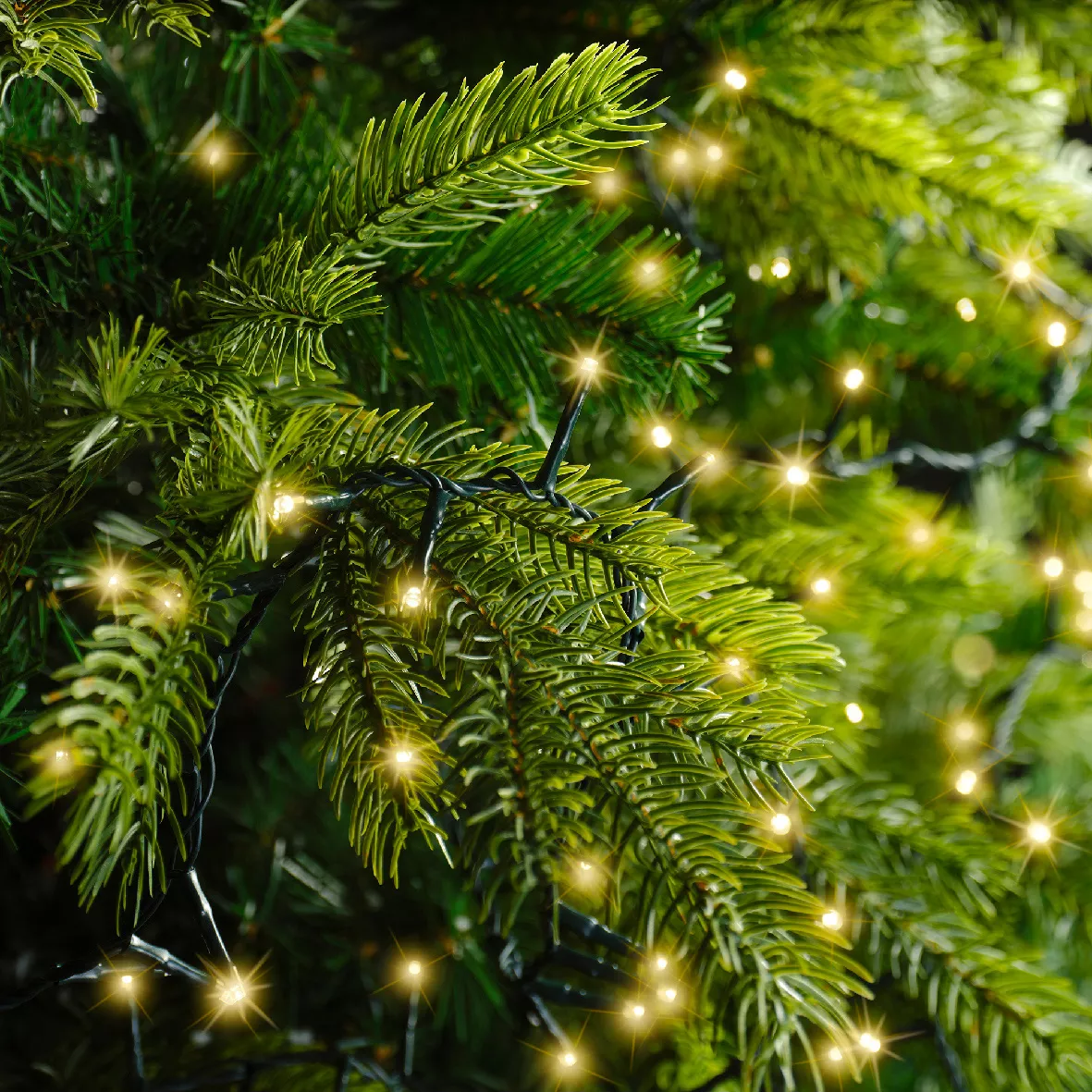 Guirlande lumineuse 60 m 3000 LED câble vert Luxe Blanc chaud Champagne