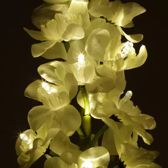 Lote de 2 estacas para jardín Gladiola LED solar - Blanco cálido 2
