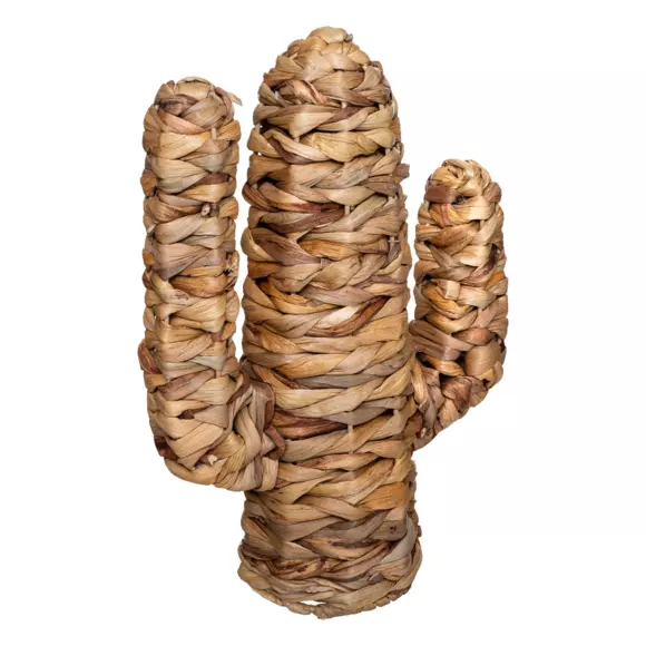Deko Kaktus Haci Naturfarben 2