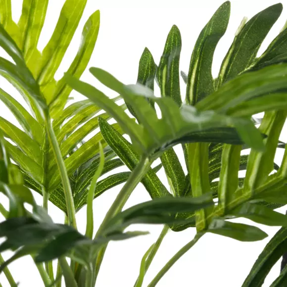 Palmier en pot Etnik Vert 3