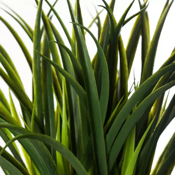 Plante verte en pot Cima Vert 2