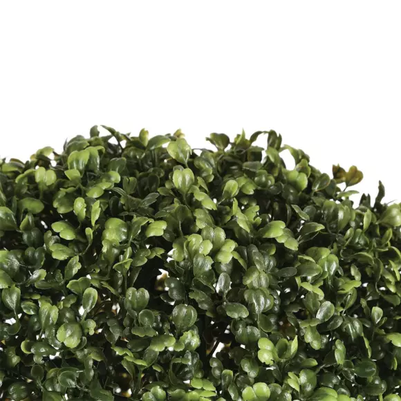 Boule de Buis Ixia Vert D28 2