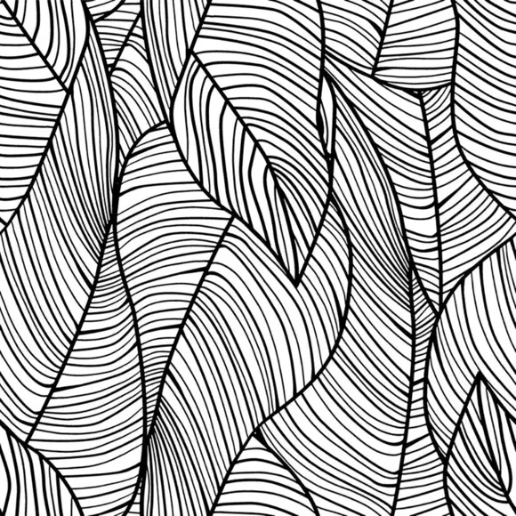 Décoration murale adhésive  (130 x 260 cm) Coconut Noir 3