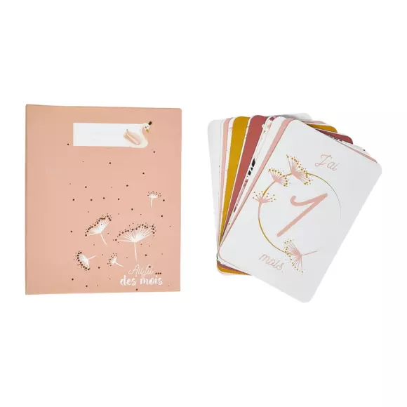 Coffret album photo et cartes étapes Cygne Rose