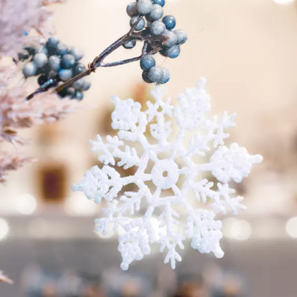 Lot de 12 étoiles de Noël à suspendre Morzine Blanc 2