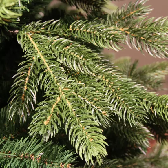Kunstkerstboom Caucasia Nordmann H210 cm dennengroen 3