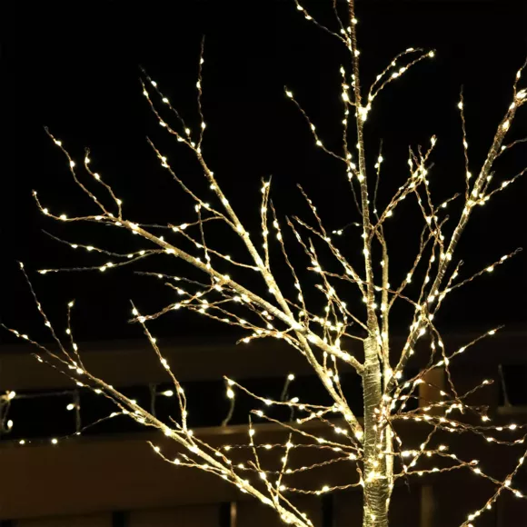 Abedul luminoso Betula Altura 180 cm Blanco cálido 3