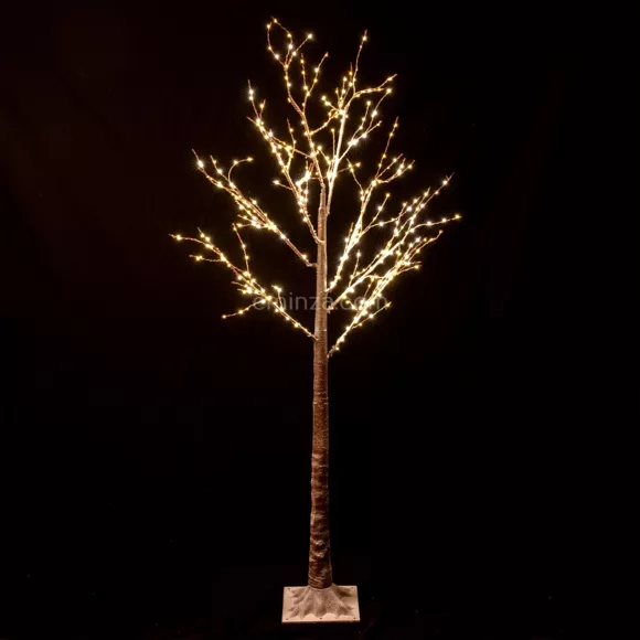 Abedul luminoso Betula Altura 180 cm Blanco cálido 4