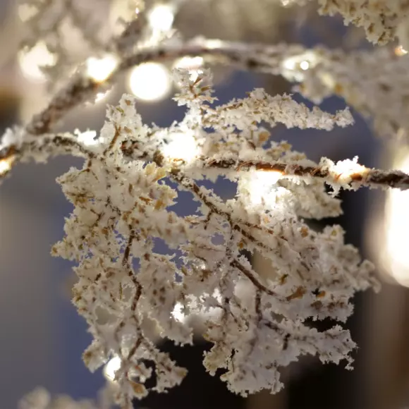 Árbol luminoso Milone H210 cm Blanco cálido 2