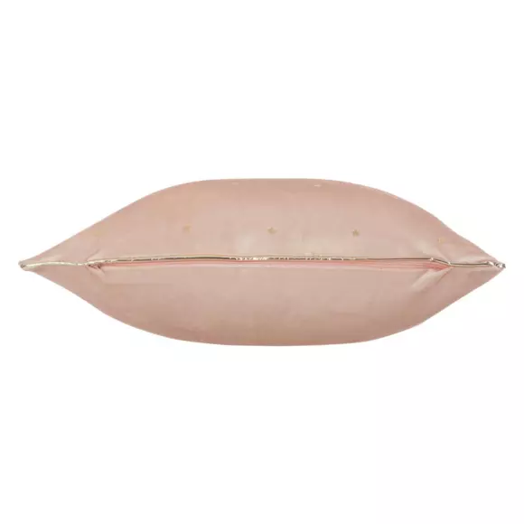 Cojín "Fais de beaux rêves" (en francés) Rosa 2