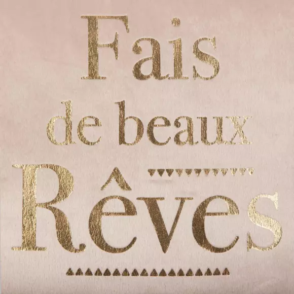 Cojín "Fais de beaux rêves" (en francés) Rosa 3