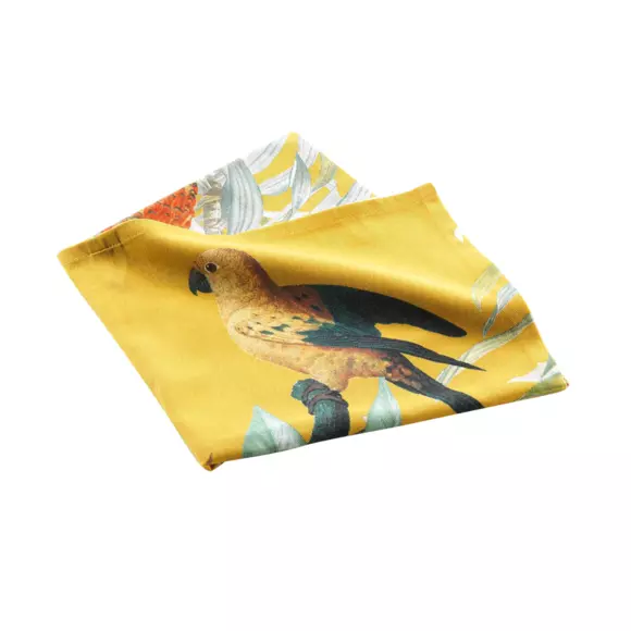 Paño de cocina (70 cm) Safia Amarillo 3