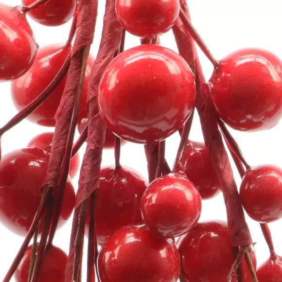 Lot de branches  Rouge 2