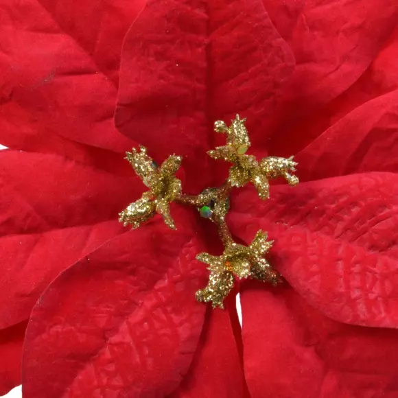Poinsettia de Noël Noelie  sur clip Rouge 2
