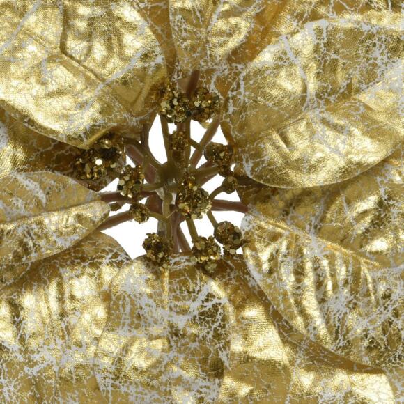 Weihnachtsstern (D26 cm) auf Clip Gold 2