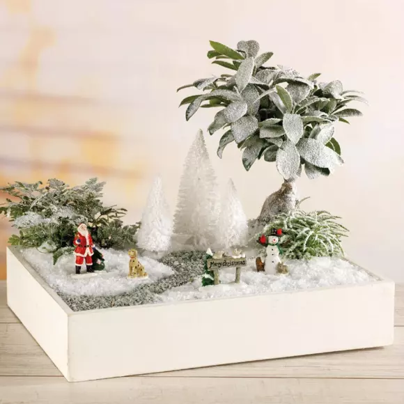 9er Set Tannen Weiß für Weihnachtsdorf 3