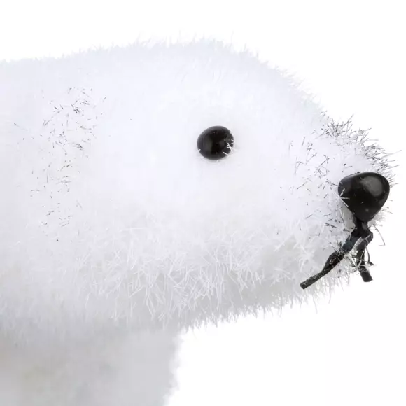 Oso polar Plume 2
