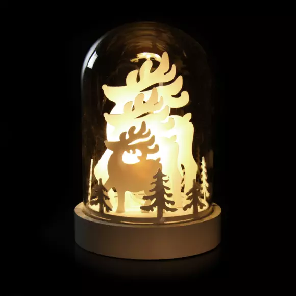 Cloche en verre à piles Rennes illuminée 2