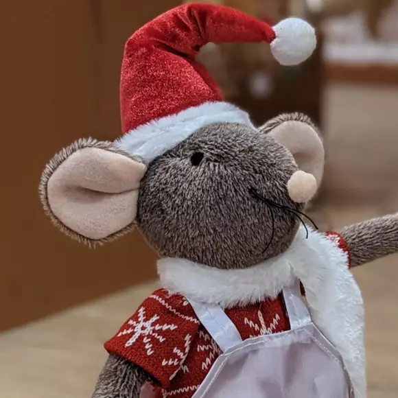 Ratón Rousti 2