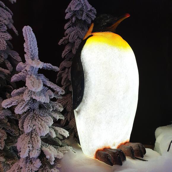 Pinguino luminoso Zélian Blanco frío 8 LED 3