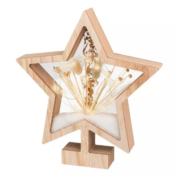 Etoile fleurie à piles lumineux Blanc chaud 25 LED 2