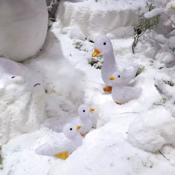 Famille Canard à piles lumineux blanc chaud 10 LED 2