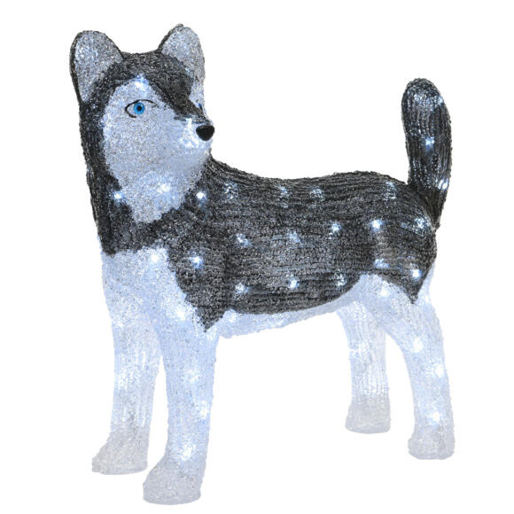 Perro luminoso Snowy Blanco frío 80 LED 2