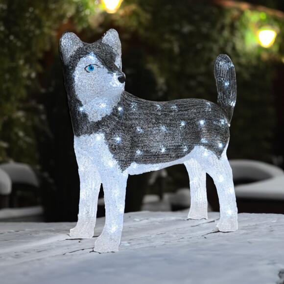 Perro luminoso Snowy Blanco frío 80 LED 3