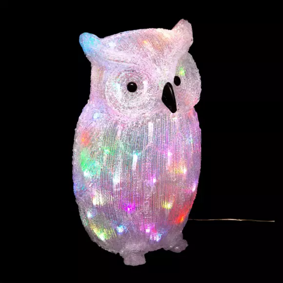 Hibou lumineux Cristiano Multicolore 60 LED 2