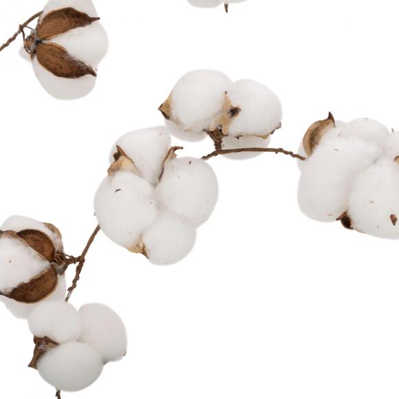 Ghirlanda Fiore di cotone Bianco