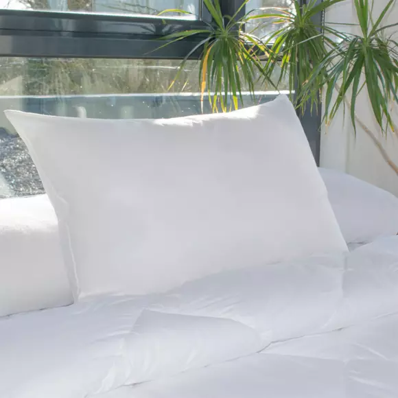 Lote de 2 fundas para almohadas rectangulares Mullidas anti-ácaros Blanco 3